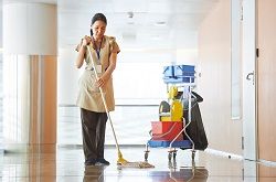 Floor Cleaning SW3